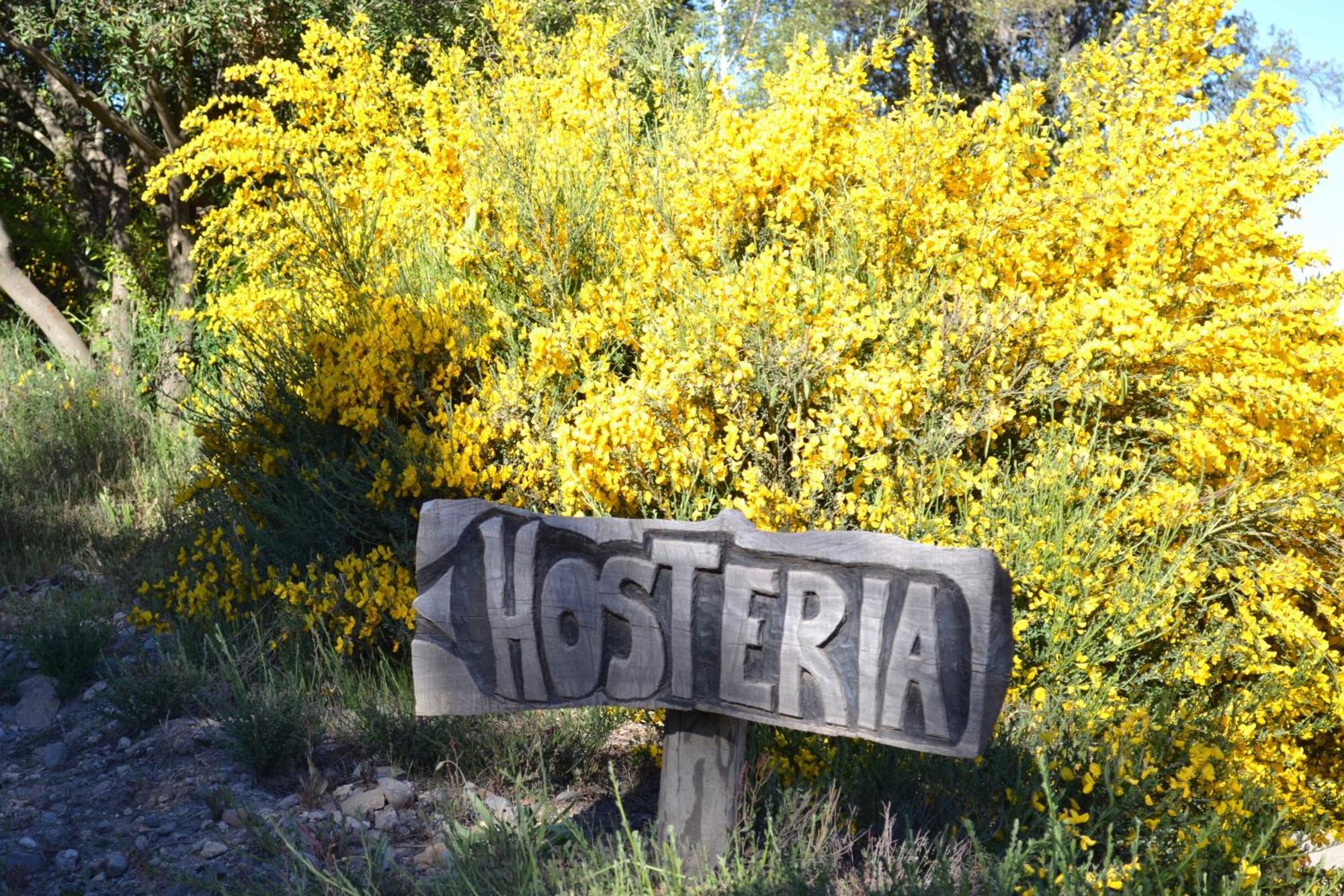 Sieteflores Hosteria De Montana San Martín de los Andes Exterior photo